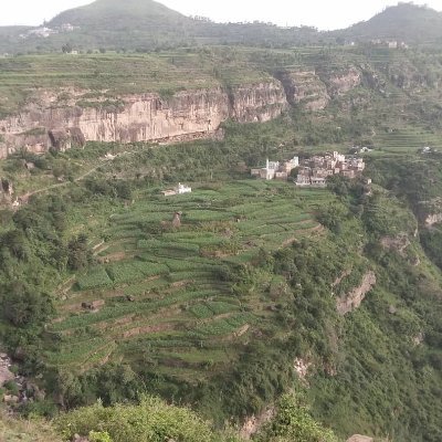 BR0mfU0LFpbHCmr's profile picture. ‏أحب الصالحين ولست منهم***لعلي أن أنال بهم شفاعة