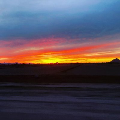 Rosajay5's profile picture. its just a bunch of random things