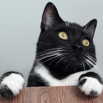 ciemaciema1's profile picture. 