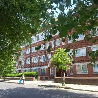 Trees For Bermondsey (@bermondseytrees) 's Twitter Profile