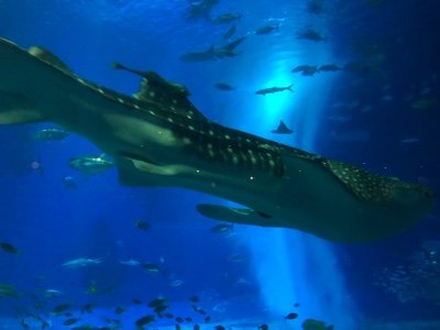 UfjdqJQenbYE2kR's profile picture. 出張で全国に出かけているおじさんです、LINEでお話し仲良くなれる人と友達になりたいです。