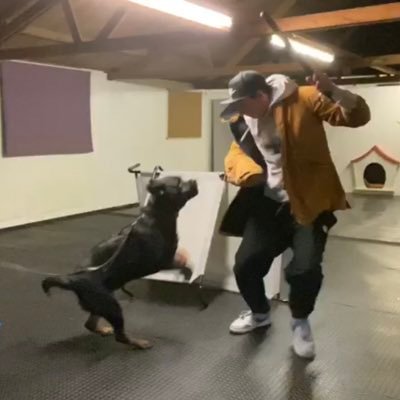 MaxLC_'s profile picture. 