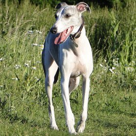 RGFycmVu's profile picture. 