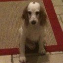 Lorraine Eby - @LittleJackEby - Twitter