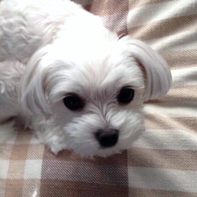 色々ありまして、今は時事ネタ中心の閲覧アカになりました。このアカに2人います。フォローはお気軽に適当にどうぞ。NG等は今の所設けてません。