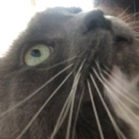 Tootybooty (@bootywarrior01) 's Twitter Profile