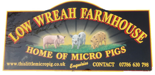 We are a small supplier of the British Micro Pig, based in the North West of England on the outskirts of Whitehaven.