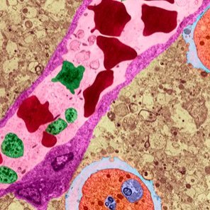 TheDivineComed3's profile picture. Graduate at USC Davis Agricultural and Resource Economics.