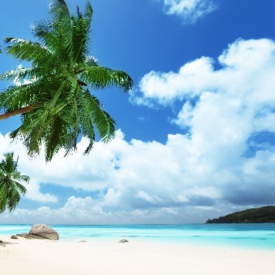 ACwiertniak's profile picture. Jr High Math/Science Teacher