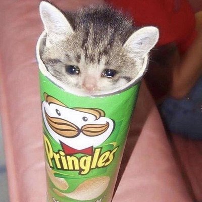 Domxd6's profile picture. boss ass hoe