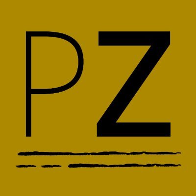 Project_Zulu Profile Picture