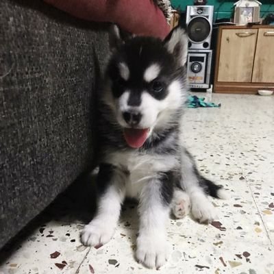 Traderj69992860's profile picture. Nifty trader