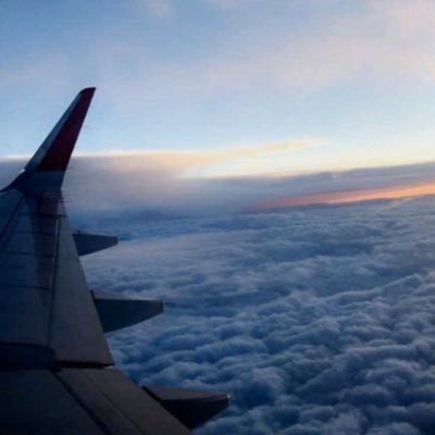 bee25n's profile picture. سبحان الله وبحمده، سبحان الله العظيم