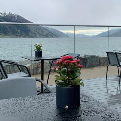 som3as11's profile picture. 