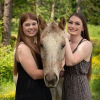 Oregon City High School Equestrian Team (@oregon_high) 's Twitter Profile