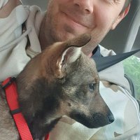 Mikael Sjöberg (@mikeg_swe) 's Twitter Profile