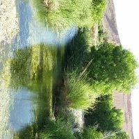 Abdirahman Abdi (@abdirah76382165) 's Twitter Profile