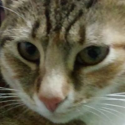 hasankemalarun's profile picture. 