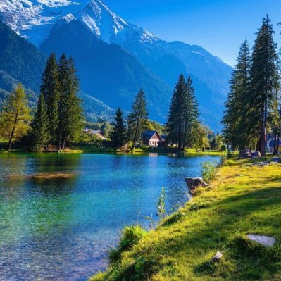 Emilio50665417's profile picture. Lo importante es ser feliz