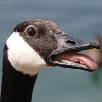 John D (@jpd_028) 's Twitter Profile