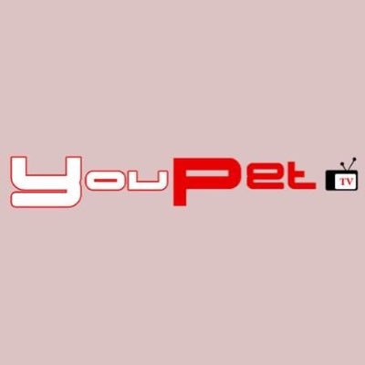 Youpet, la Web Tv dedicata agli animali d'affezione. Informazioni, consigli utili, divertimento e tutto quello che c'è da sapere sui nostri amici.