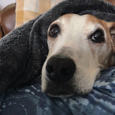 helen_brown65's profile picture. 