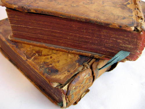 APrettyBook's profile picture. I read, I blog, I look for pretty book pictures.  Oh, and I have a book barn.  My family is considering an intervention.