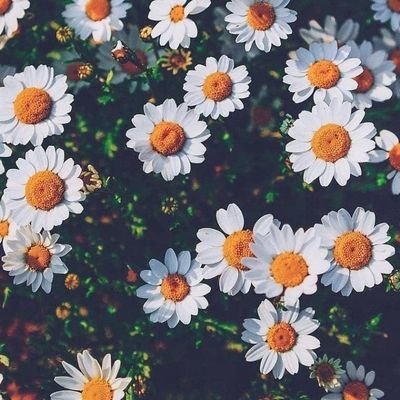 ‏‏‏
‏‏‏📖🌷🕊☁
ويُدبر الله لقلبِّك سُكناه،
‏ فرحُه الذي لطالما رجوته .