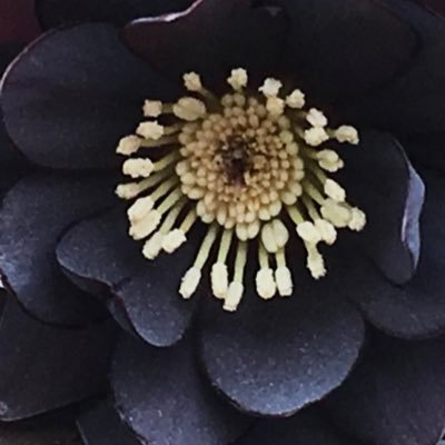 brakes624's profile picture. 