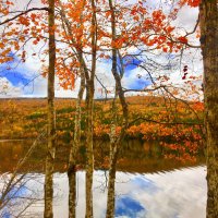 Sparkled Beauty (@sparkled_beauty) 's Twitter Profile