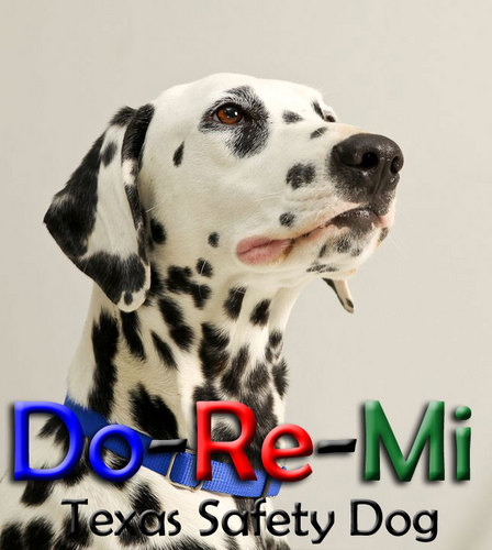DoReMiSafetyDog's profile picture. Texas Safety Dog. Sidekick to @CillaWichmann, famous from ads and TV shows. http://t.co/q0BmwcmA6O