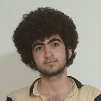 Arash__mirzaei's profile picture. sin ∞ = 00.00