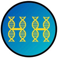 Helix Hackers 🧬 (@helixhackersftc) 's Twitter Profile