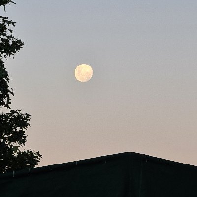 GibihiJake's profile picture. $Algo $VRA $VET, $Matic