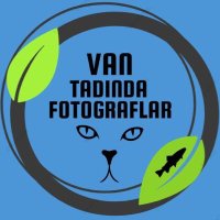 Van Tadında Fotoğraflar (@fotograflarvan) Twitter profile photo