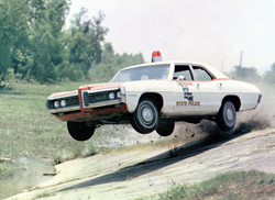 mickeymoog's profile picture. 