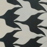 Ailsa 🏴#FBPA #FBPE🇪🇺🇺🇦🌻 (@ailsayouil) 's Twitter Profile