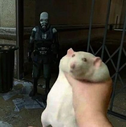 BungusPorco's profile picture. 