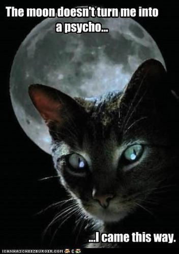 Reality is merely an illusion, albeit a very persistent one...Albert Einstein
