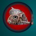 Kata Simon Podcast (@katapodcast) Twitter profile photo Kata Simon Podcast (@katapodcast) Twitter profile photo