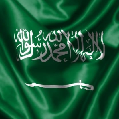 iamSaudi2030 Profile Picture