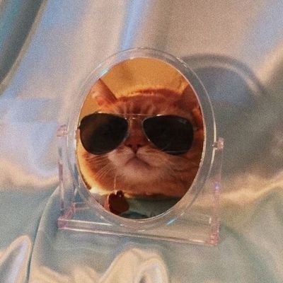 yoramdo's profile picture. 