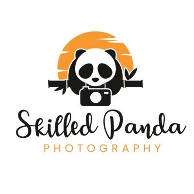 skilledpandaTM Profile Picture