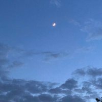 DunningWatch (@dunningwatch) 's Twitter Profile
