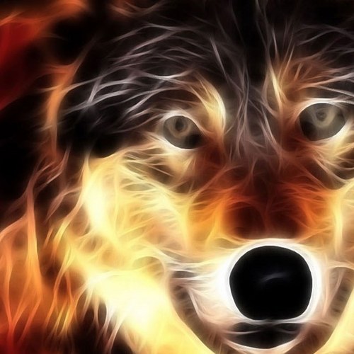 Ian_4boro's profile picture. 