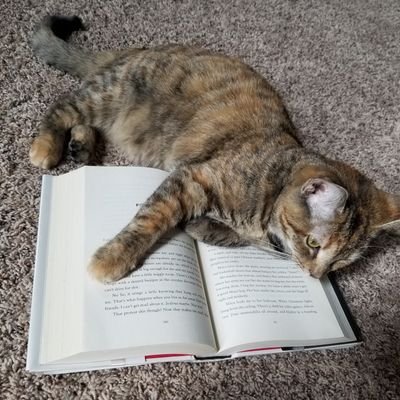 I write #PB and #YA. I make bad puns. New mom. Two cats own me. @SCBWIIndiana Volunteer Coordinator. https://t.co/qHq0vJa4Zr #PitchMe Finalist '21 (she/her)