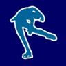 fsonline's profile picture. Figure Skaters Online (FSO) provides event coverage, in-depth interviews/articles & official websites for the top U.S. skaters.