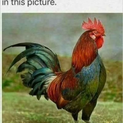 Jason58882229's profile picture. nothing makes me special