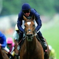 Galileo (@galileo94601384) 's Twitter Profile Photo