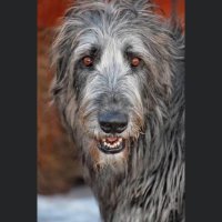 Mikael Berrat (@mikaelberrat) 's Twitter Profile